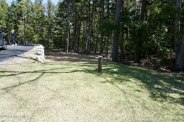 view of yard featuring a forest view