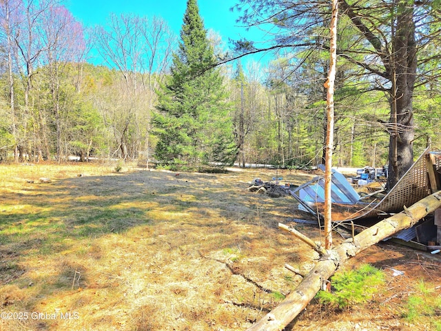 view of yard featuring a wooded view