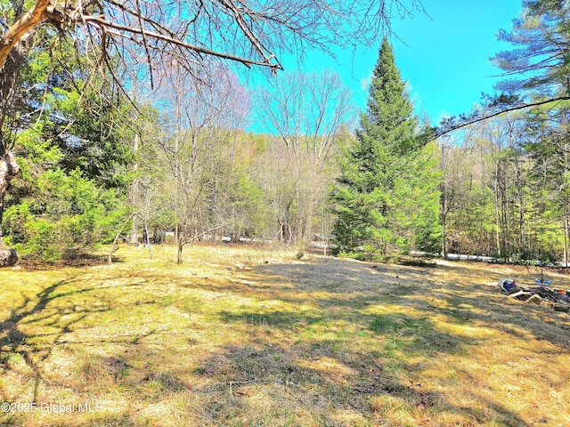 view of yard featuring a forest view