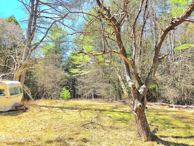 view of yard featuring a view of trees