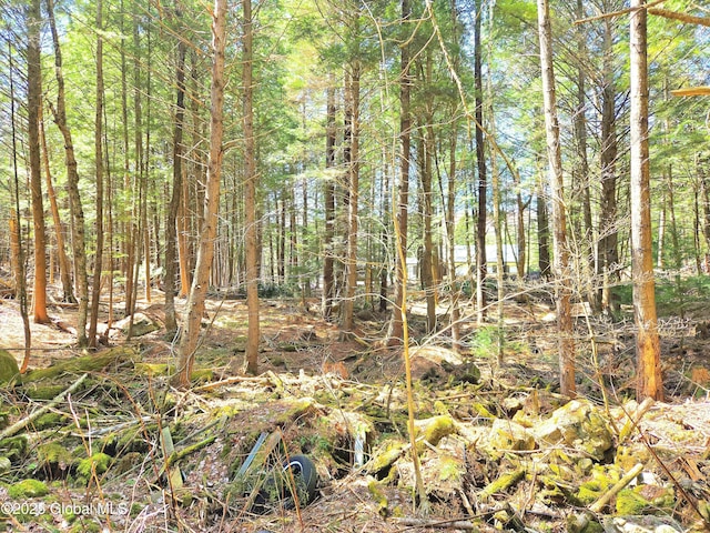 view of local wilderness with a forest view