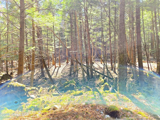 view of nature featuring a forest view