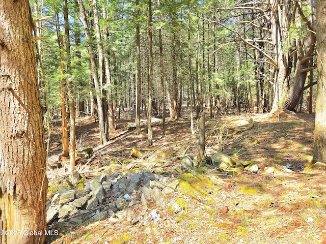 view of nature with a view of trees