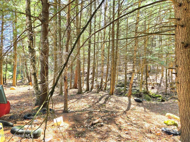 view of nature with a forest view