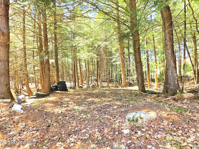 view of yard with a view of trees