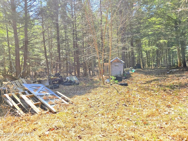 view of yard with a forest view
