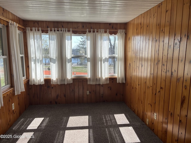 6 Riverview St, South Glens Falls, NY 12803 - carpeted empty room featuring plenty of natural light and wooden walls