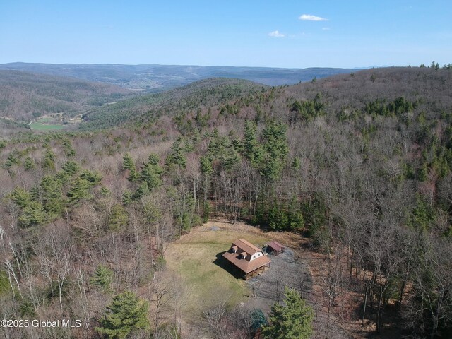 400 Greenbush Hill Rd, Fulton, NY 12187 - photo 2