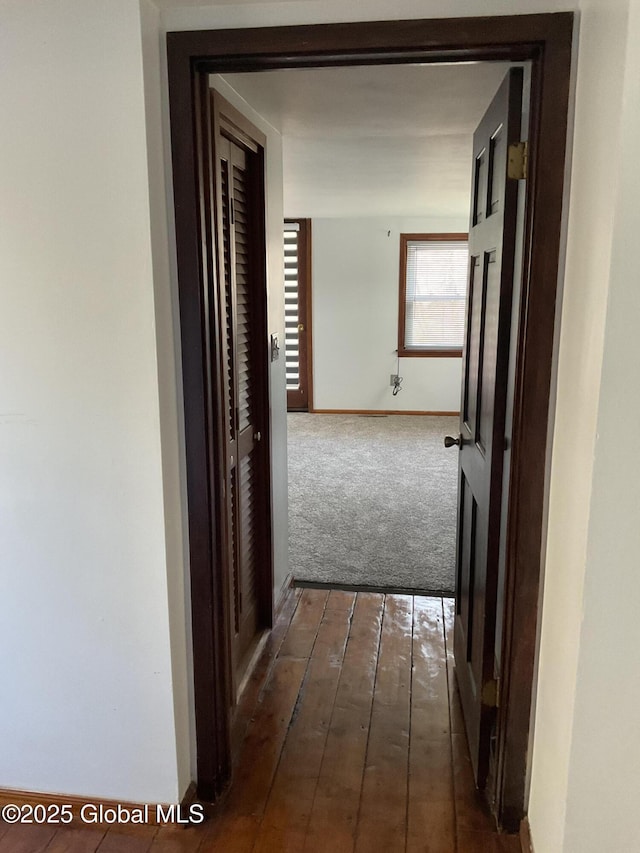 corridor with baseboards and dark wood-style floors
