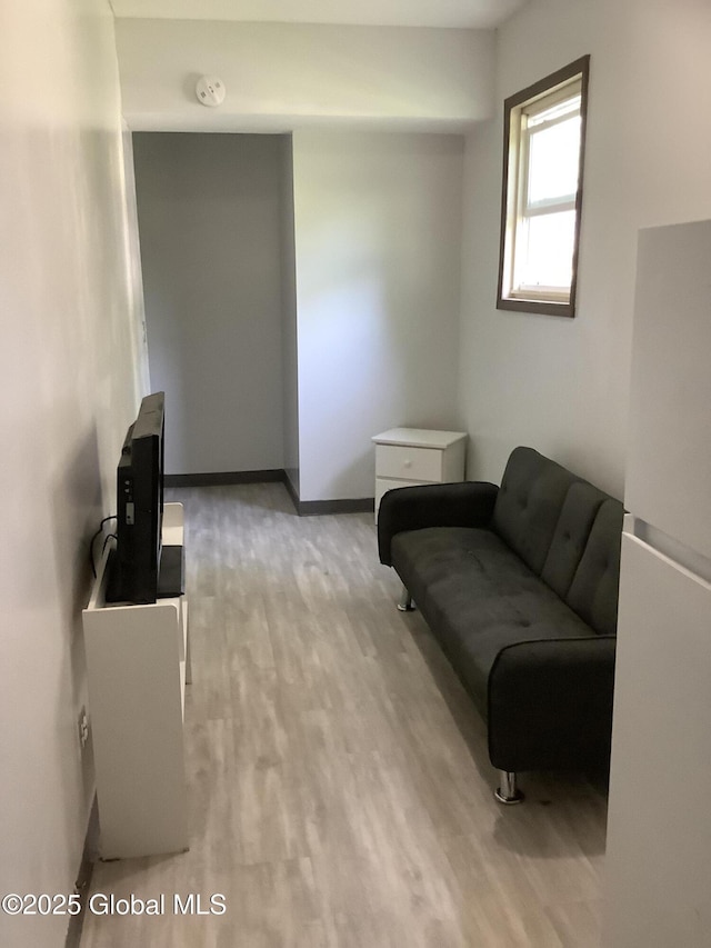 living area featuring light wood-style flooring