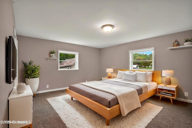 286 State Hwy Unit 80, Fort Plain, NY 13339 - bedroom featuring carpet flooring and baseboards