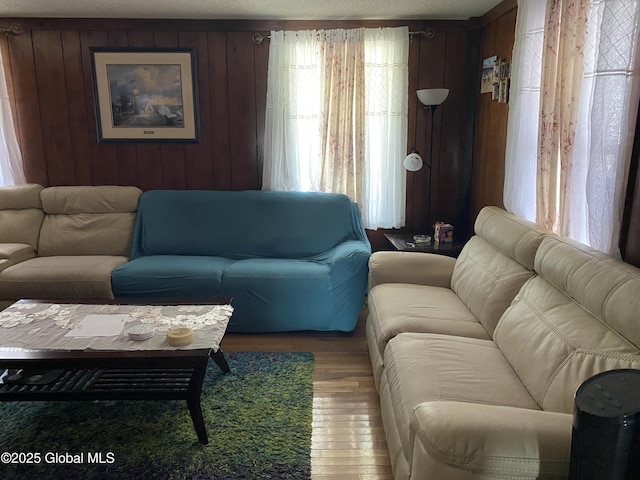 470 Middle Grove Rd, Greenfield, NY 12850 - living area featuring wood walls, wood finished floors, and a healthy amount of sunlight