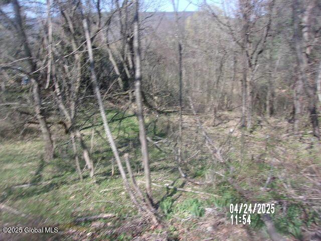 view of landscape featuring a view of trees