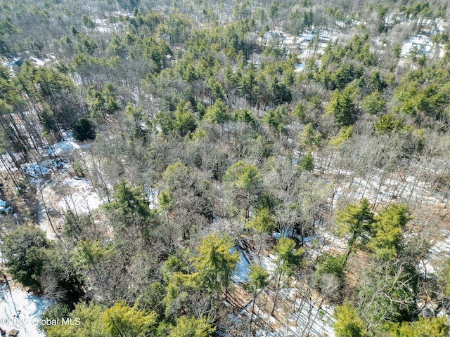 L43.2 Travis Trail, Lake George, NY 12845