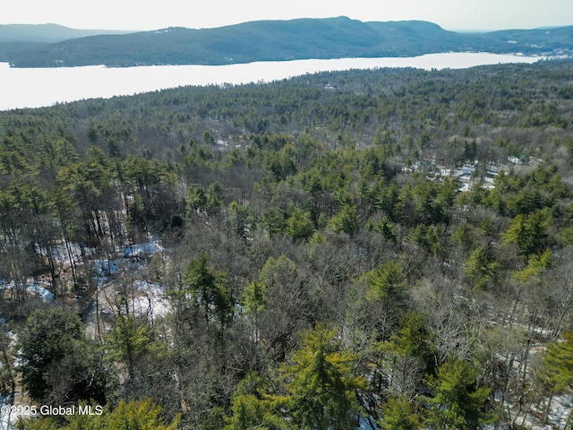L43.2 Travis Trail, Lake George, NY 12845