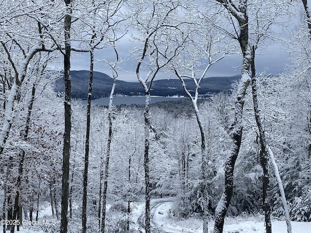 L43.2 Travis Trail, Lake George, NY 12845