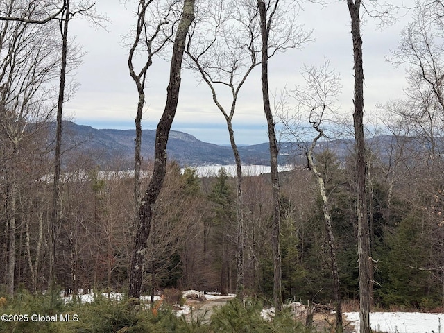 L43.2 Travis Trail, Lake George, NY 12845