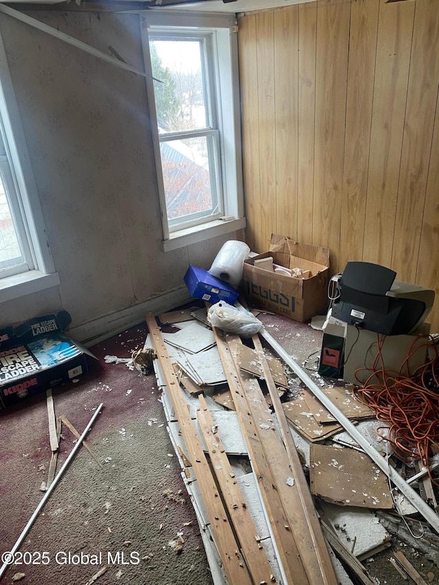 misc room with wooden walls and carpet flooring