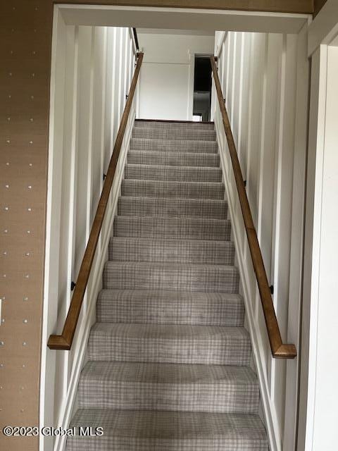 staircase featuring carpet floors