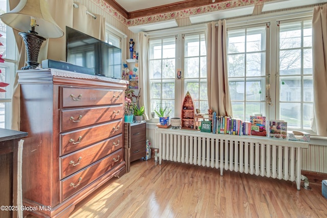 miscellaneous room featuring radiator heating unit, light wood-style floors, and wallpapered walls