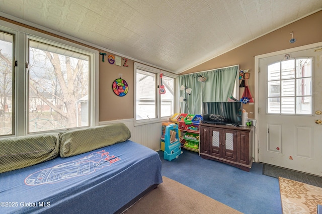 bedroom featuring a wainscoted wall, carpet flooring, and lofted ceiling