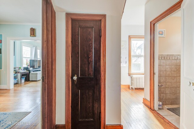 hall with crown molding, light wood finished floors, radiator heating unit, and plenty of natural light