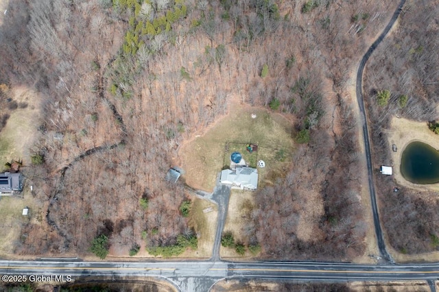 2196 Darrow Rd, Duanesburg, NY 12056 - bird's eye view