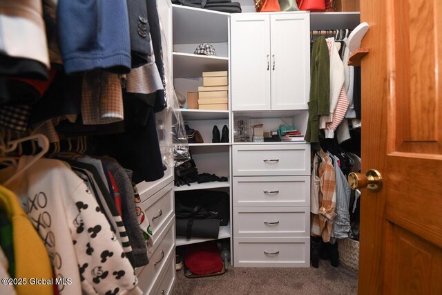2196 Darrow Rd, Duanesburg, NY 12056 - spacious closet with carpet flooring