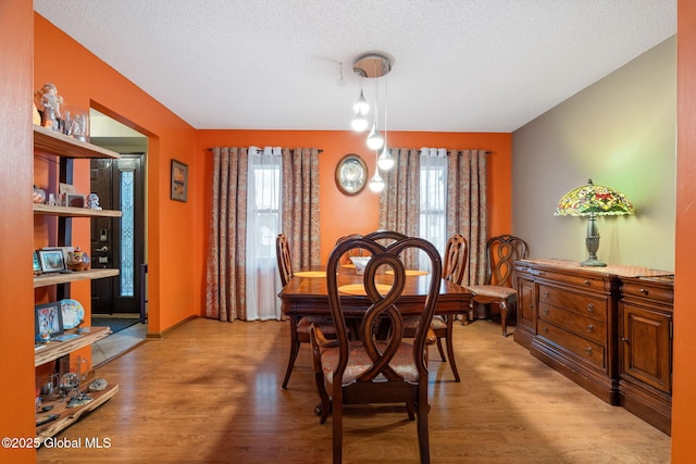 63 Pawling Ave, Mechanicville, NY 12118 - dining room with a textured ceiling, light wood-type flooring, and plenty of natural light