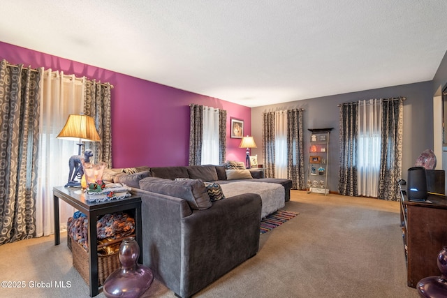 63 Pawling Ave, Mechanicville, NY 12118 - carpeted living room with a textured ceiling