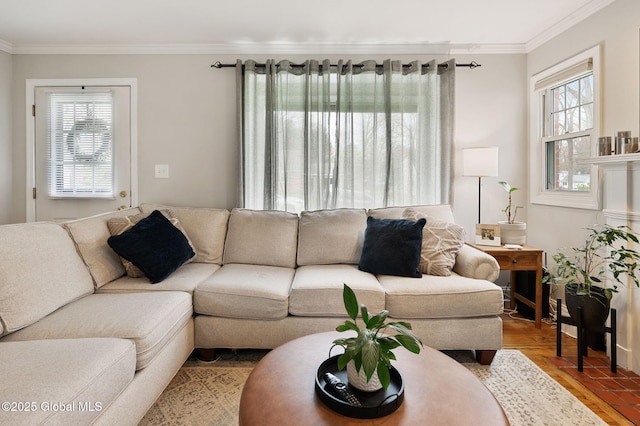 living room featuring plenty of natural light and ornamental molding