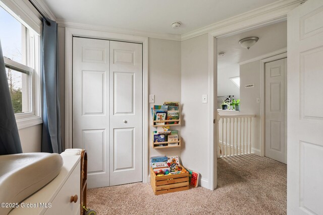 rec room with crown molding, baseboards, and carpet