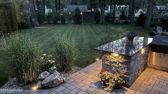 view of yard with an outdoor kitchen, an outbuilding, a shed, and a patio