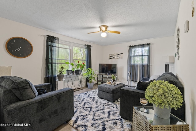 living room featuring plenty of natural light, a ceiling fan, and wood finished floors