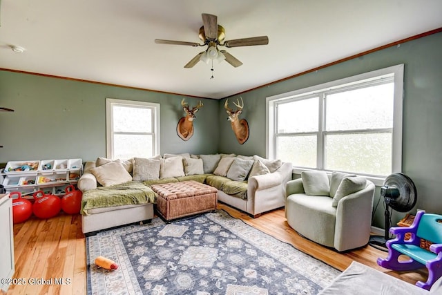 living area featuring crown molding, ceiling fan, and wood finished floors