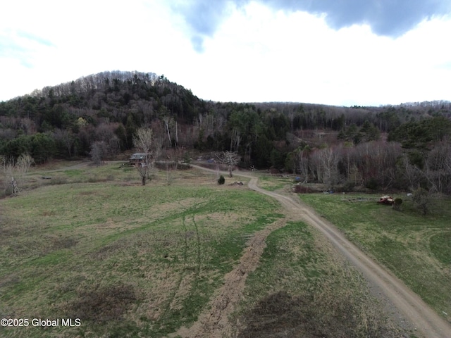 view of mountain feature featuring a rural view and a wooded view