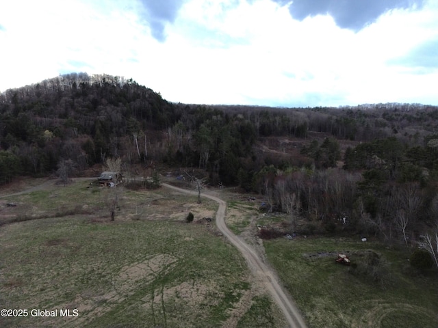 bird's eye view featuring a rural view and a forest view