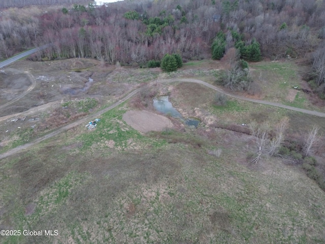 drone / aerial view featuring a view of trees