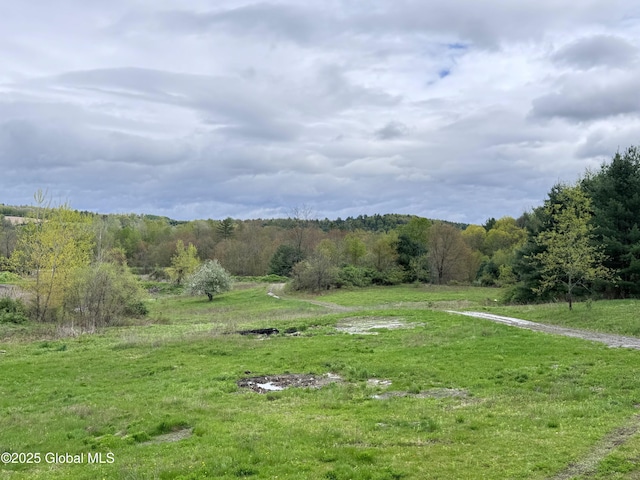 515 County Route 49, Greenwich, NY 12834 - photo 4