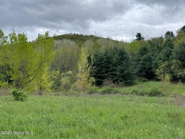 515 County Route 49, Greenwich, NY 12834 - photo 27