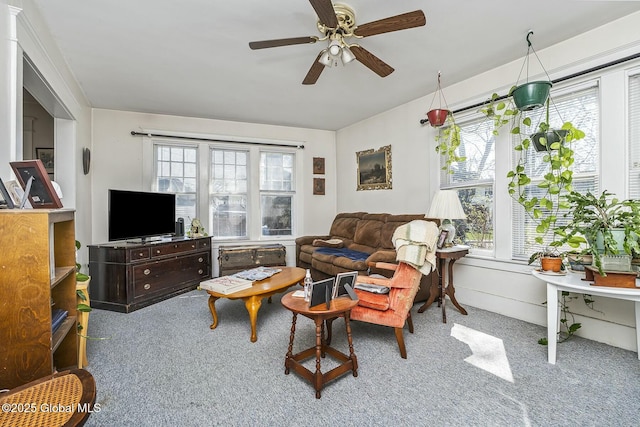 1261-1263 The Plz, Schenectady, NY 12308 - carpeted living area featuring healthy amount of natural light and ceiling fan