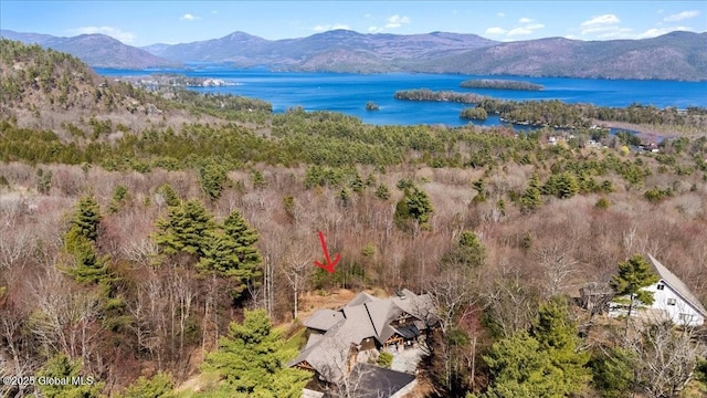 birds eye view of property with a water and mountain view