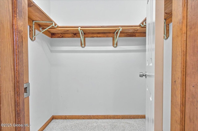 view of walk in closet