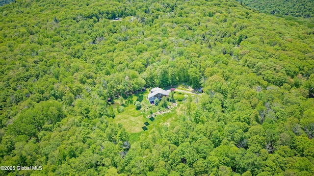 107 Wilderness Way, Stephentown, NY 12169 - aerial view of property's location with a forest