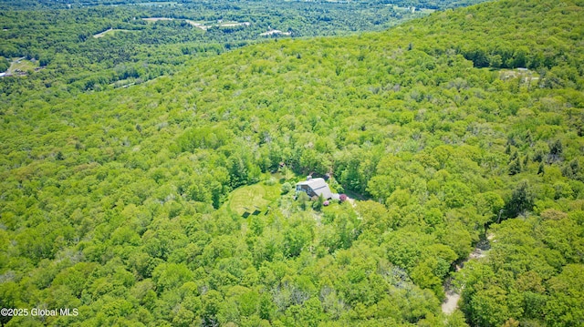 107 Wilderness Way, Stephentown, NY 12169 - aerial view of a heavily wooded area