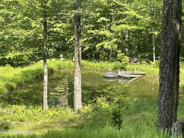 107 Wilderness Way, Stephentown, NY 12169 - view of yard with a wooded view