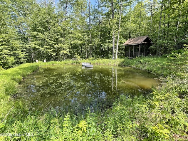107 Wilderness Way, Stephentown, NY 12169 - water view