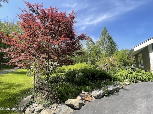 107 Wilderness Way, Stephentown, NY 12169 - view of grassy yard