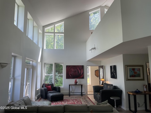 107 Wilderness Way, Stephentown, NY 12169 - living area featuring high vaulted ceiling, baseboard heating, and healthy amount of natural light