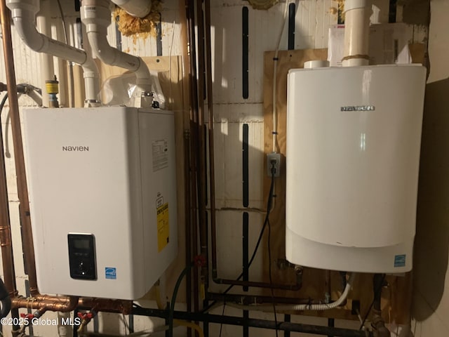107 Wilderness Way, Stephentown, NY 12169 - utility room with tankless water heater